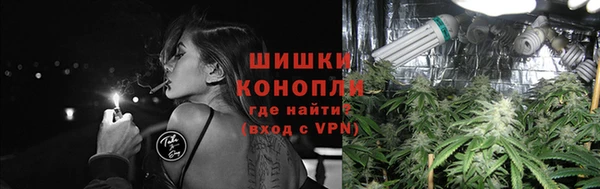 2c-b Бородино