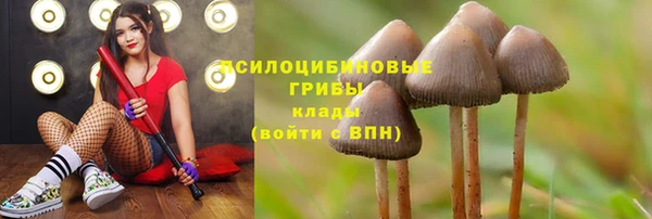 2c-b Бородино