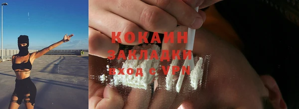 2c-b Бородино
