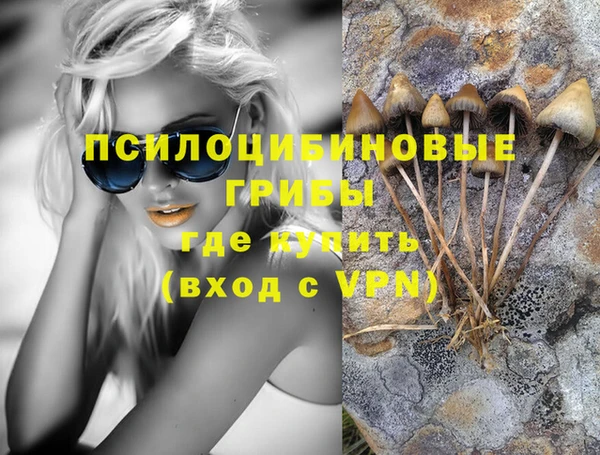 2c-b Бородино