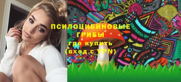 2c-b Бородино