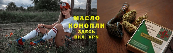 2c-b Бородино